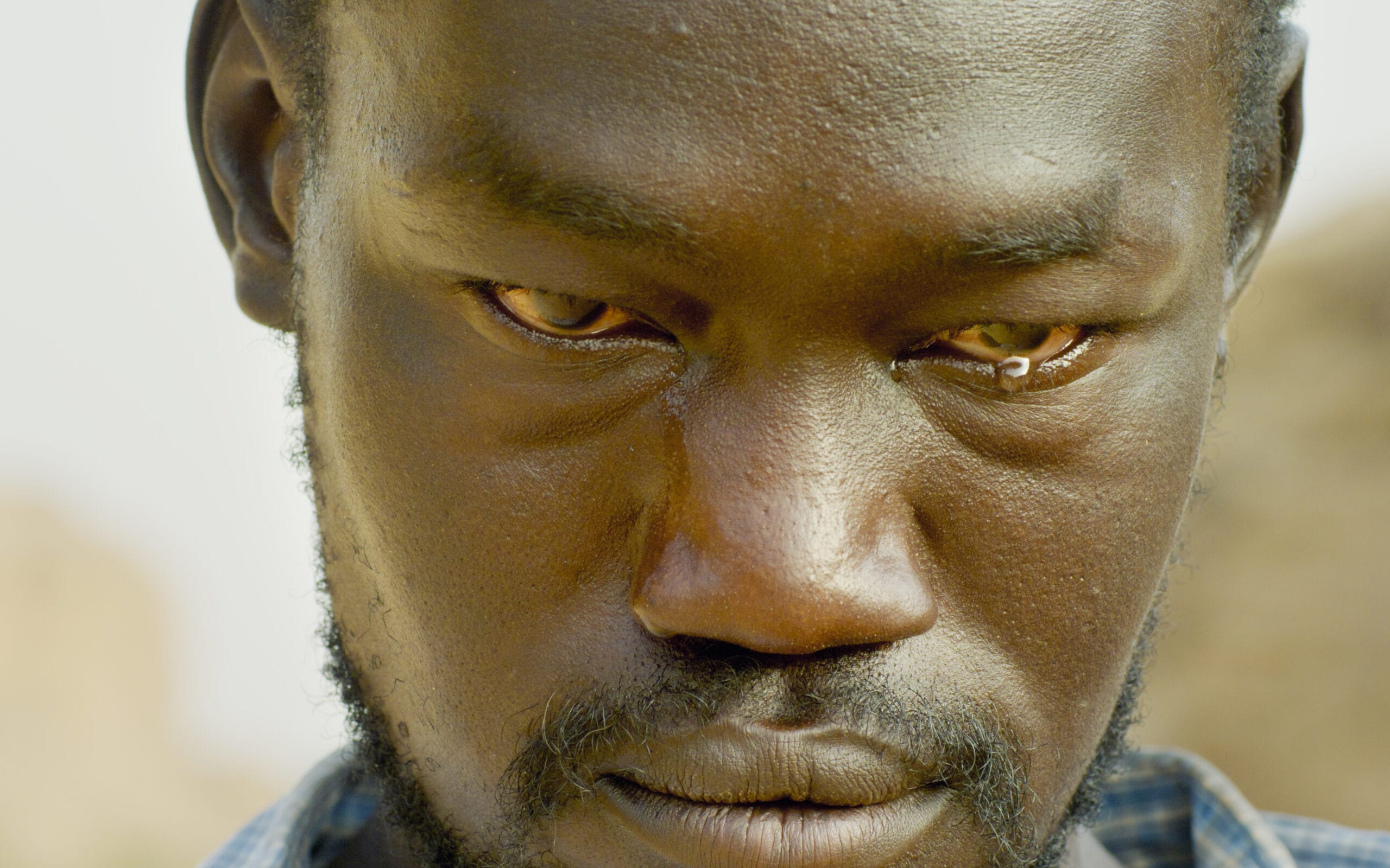 Program umetničkog filmaAli Čeri: Brana