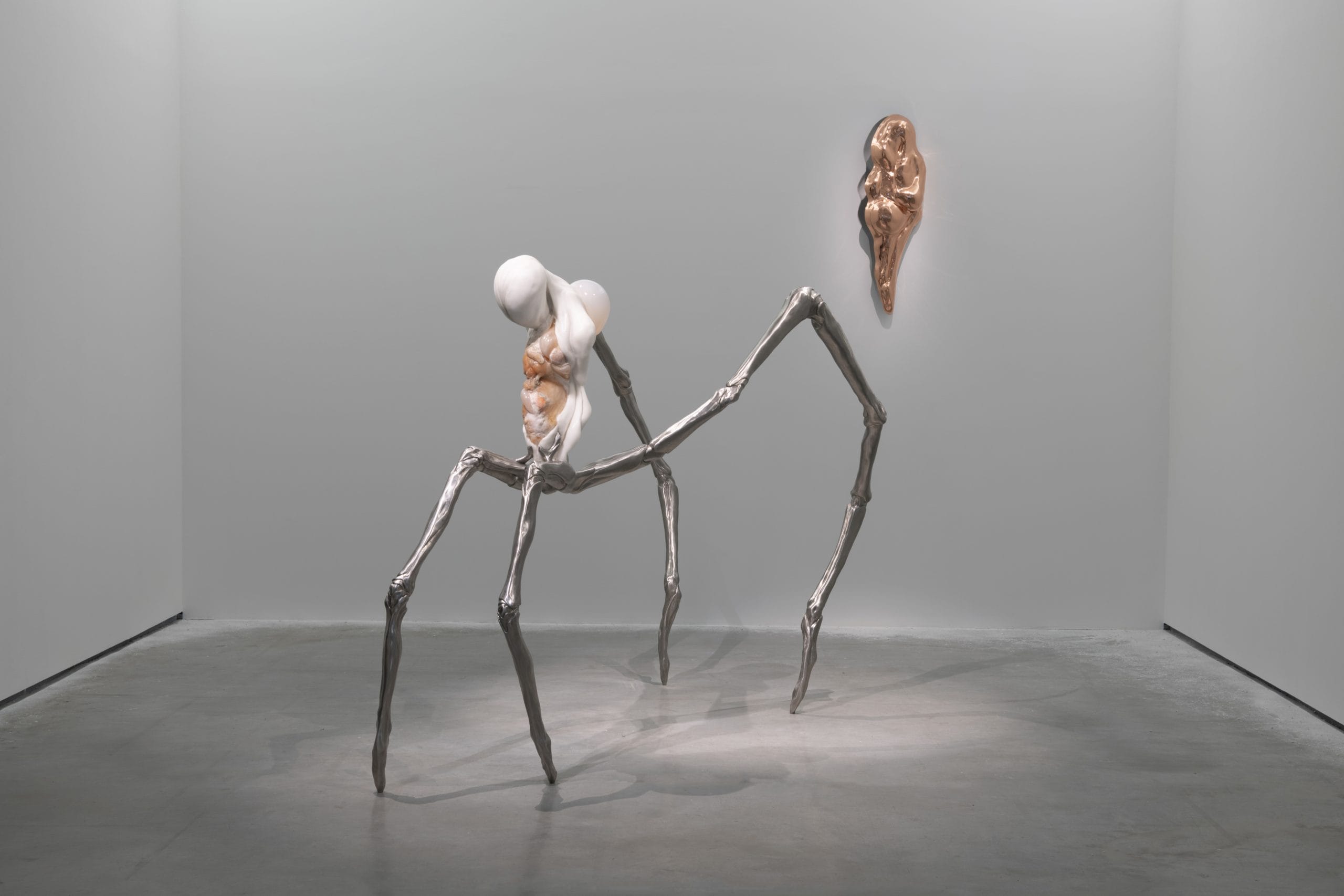 Ivana Bašić: Metempsychosis